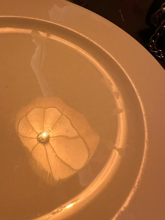 Gastro Hotel Riu Turquoise