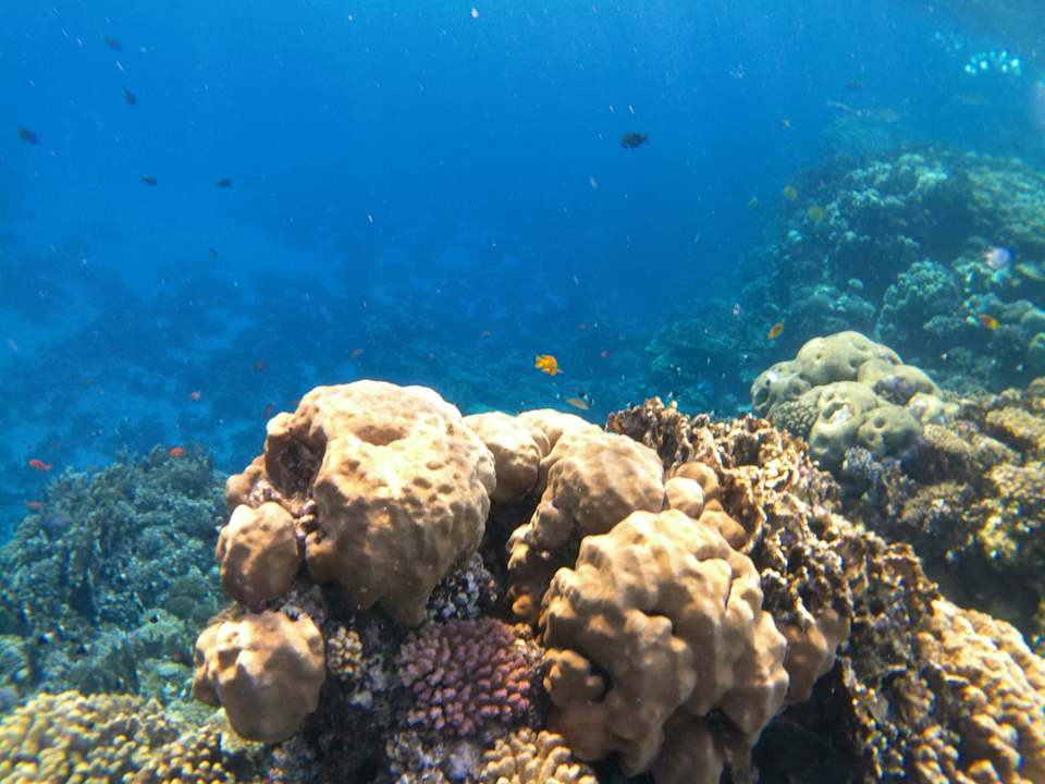 Strand Casa Mare Resort