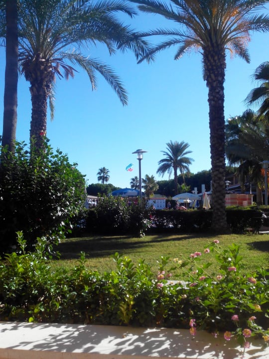 Blick von unserem Balkon Club Turtas Beach Hotel