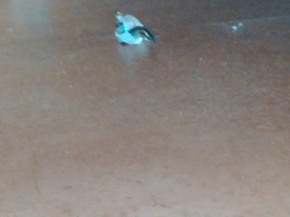 Zimmer Elba Carlota Beach & Golf Resort