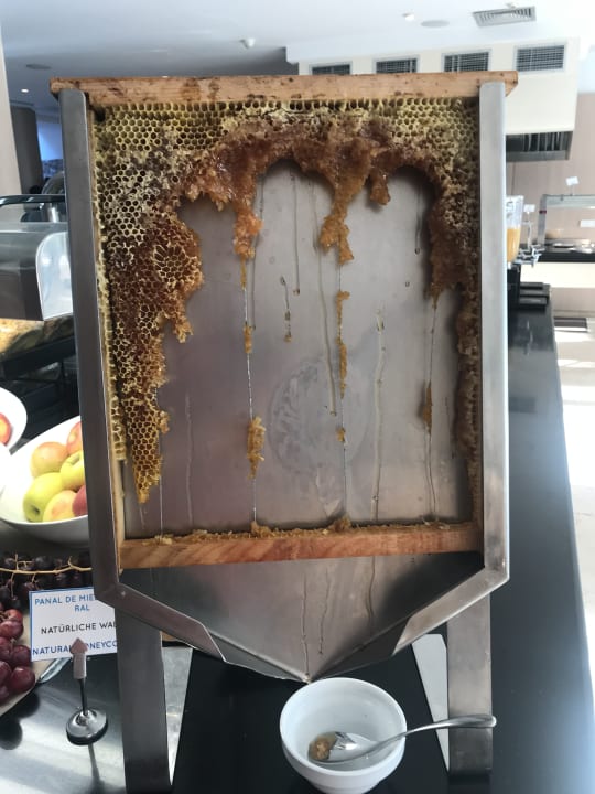 Gastro Canyamel Park Hotel & Spa 16+ Adults only