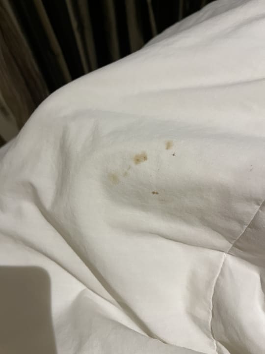 Zimmer Berjaya Beau Vallon Bay Resort & Casino