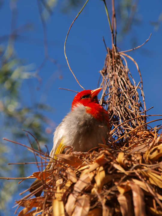 Sonstiges Ama Amanzi Bush Lodge