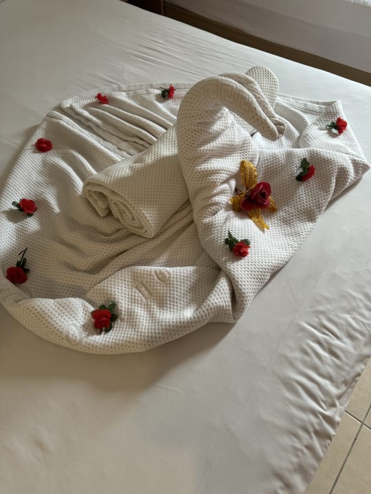 Zimmer Can Garden Resort