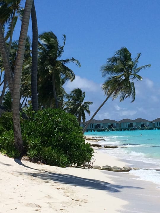 Sonnenuntergangsseite NH Collection Maldives Havodda Resort