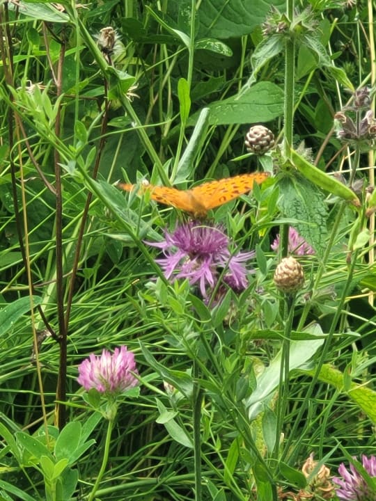 Gartenanlage Bauernhof Ablass Familie Zettel