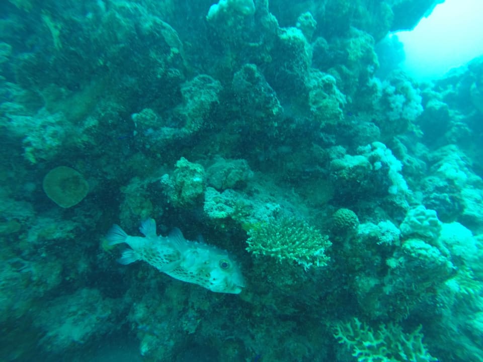 Sport & Freizeit Brayka Bay Resort