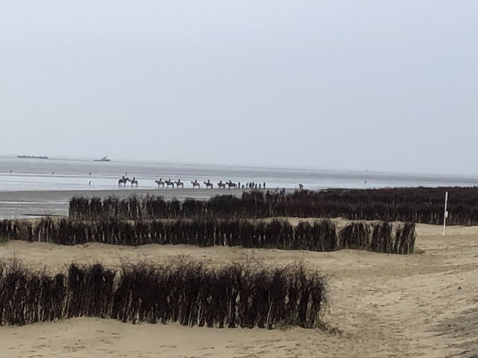 Ausblick Residenz Meeresbrandung