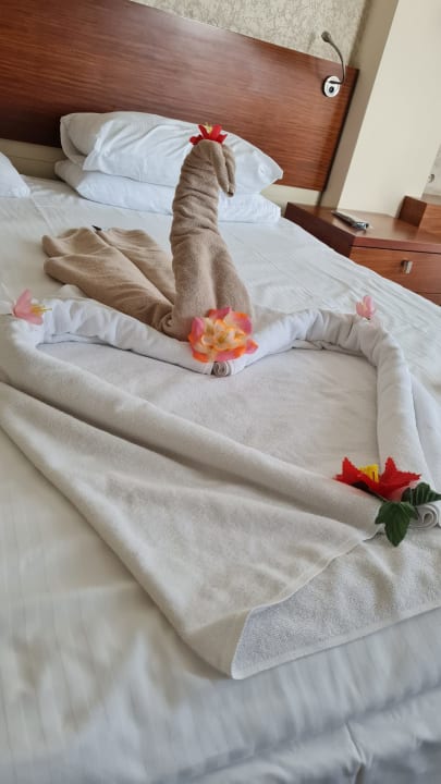 Zimmer Side Star Beach