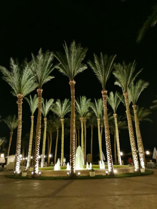 Gartenanlage Makadi Spa - Adults only