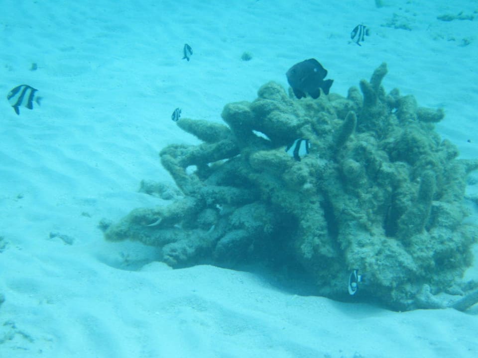 Hausriff Thulhagiri Island Resort