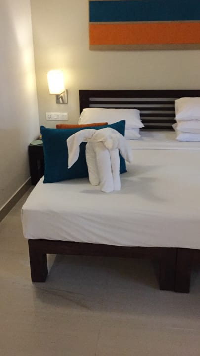 Zimmer Club Hotel Dolphin