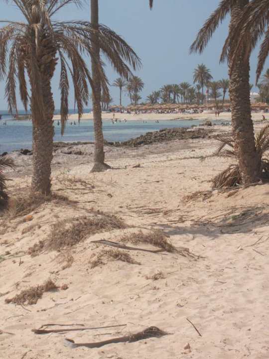 100 Meter links vom Hotelstrand Hotel El Mouradi Djerba Menzel