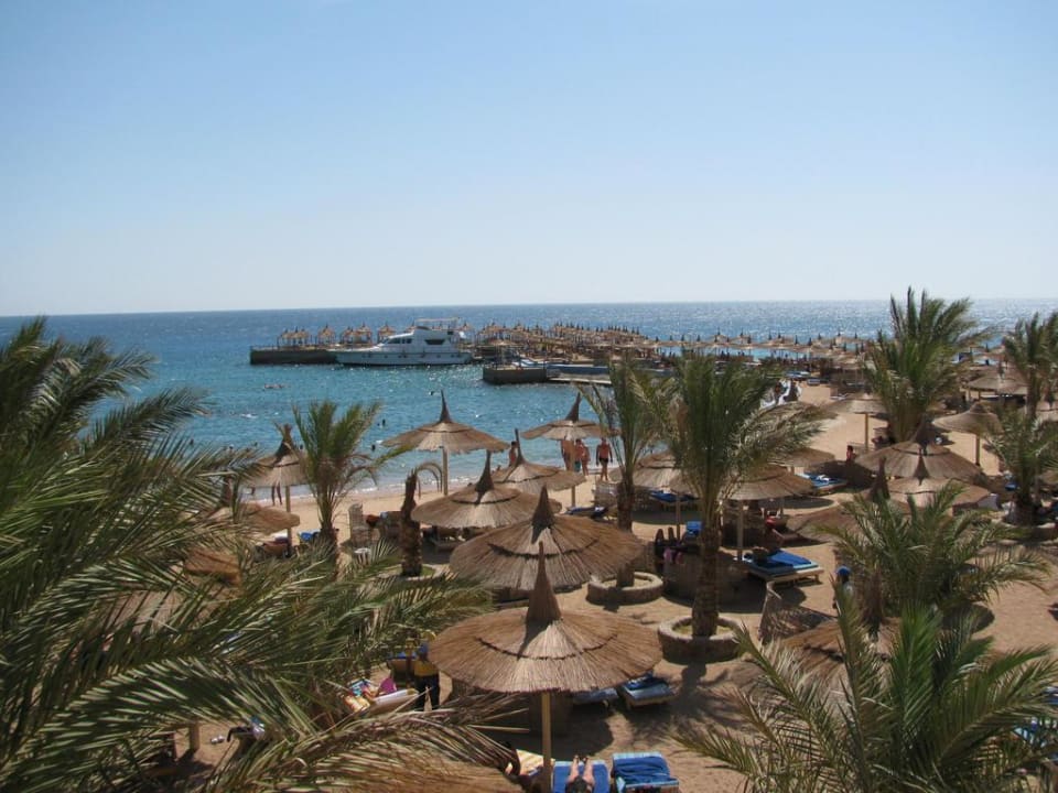 Blick auf den Hotel-Strand Beach Albatros Resort