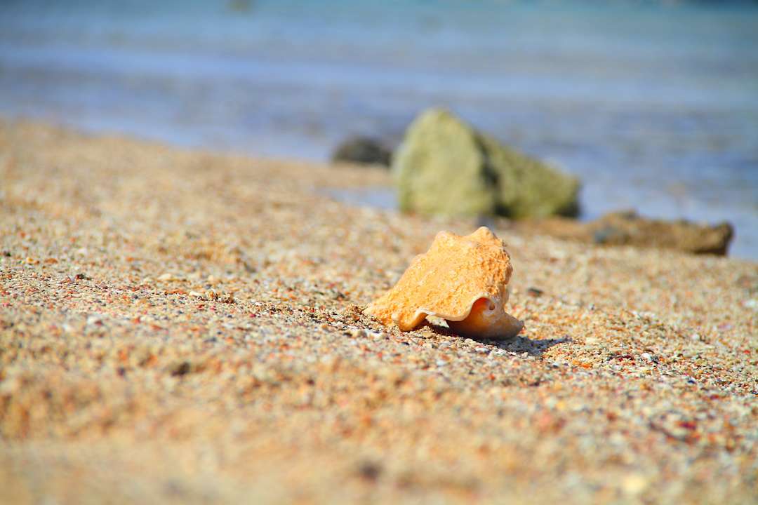 Januar 2013 Pensée Royal Garden Beach Resort