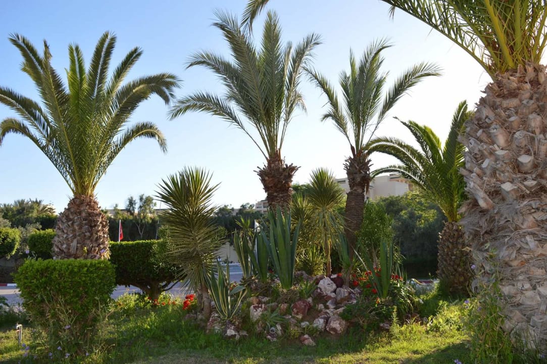 Gartenanlage Hotel El Mouradi Palm Marina
