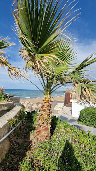 Ausblick Acapulco Beach Club & Resort