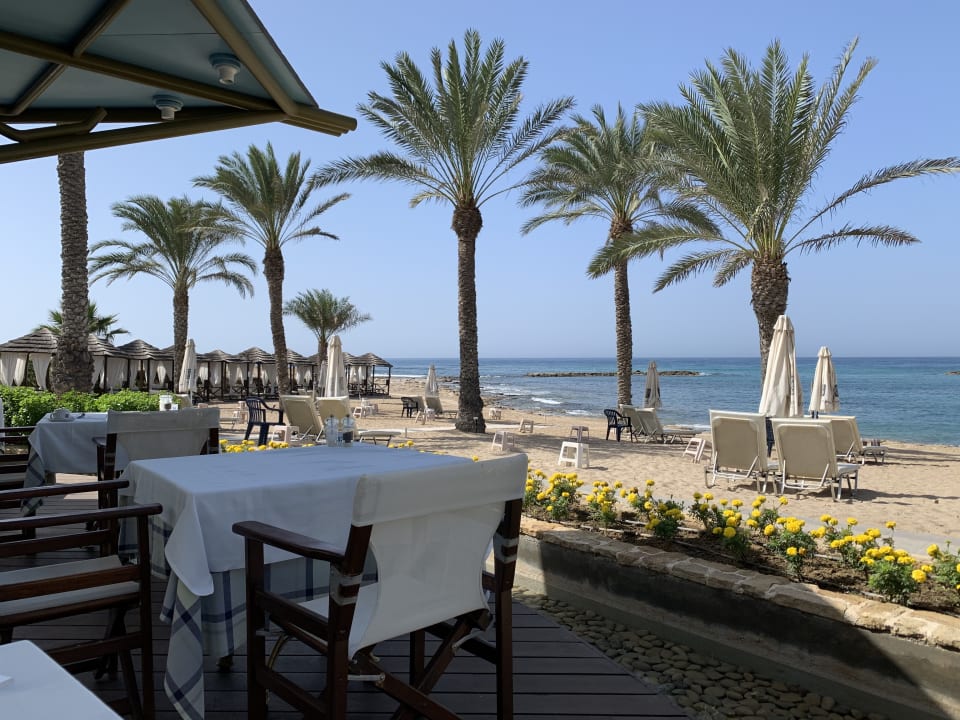 Gastro TUI BLUE Pioneer Beach