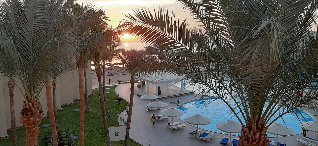 Ausblick Beach Albatros Resort