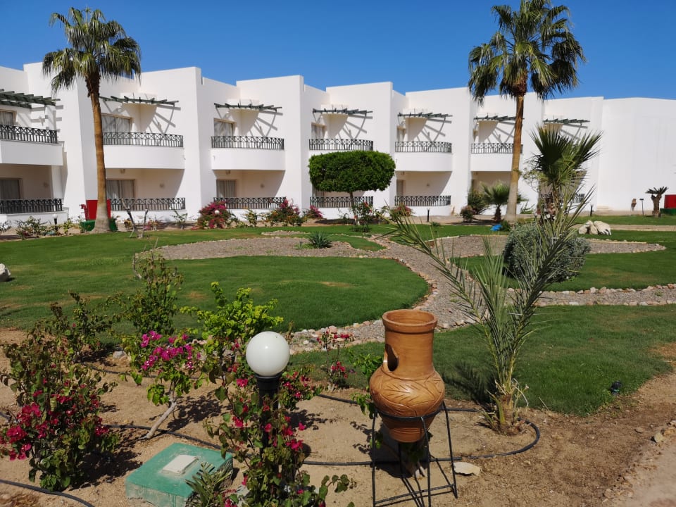 Gartenanlage Coral Beach Resort Montazah
