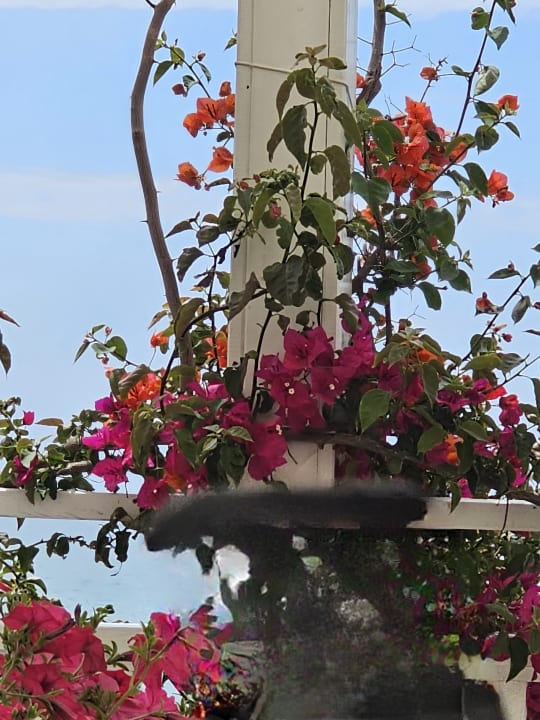 Sonstiges Can Garden Resort