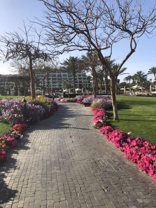 Gartenanlage Steigenberger ALDAU Beach Hotel