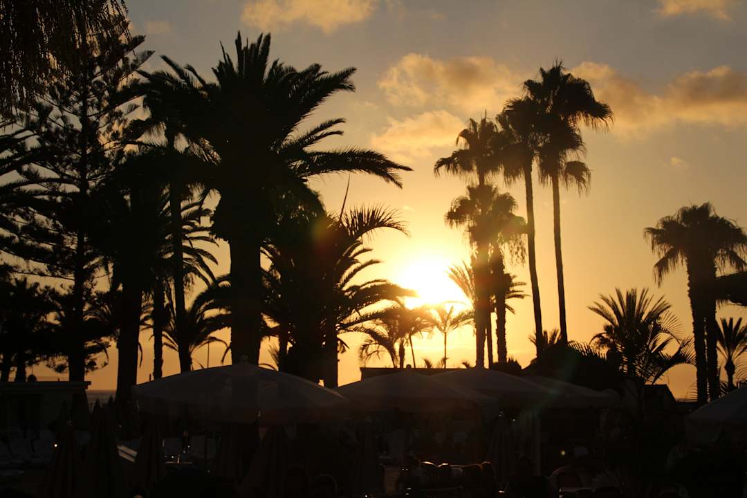 Hôtel H10 Las Palmeras - la Piscine Coucher Soleil H10 Las Palmeras