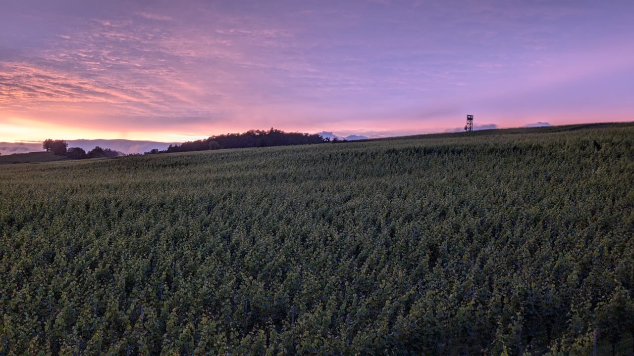 Ausblick Ferienhof Berger UG
