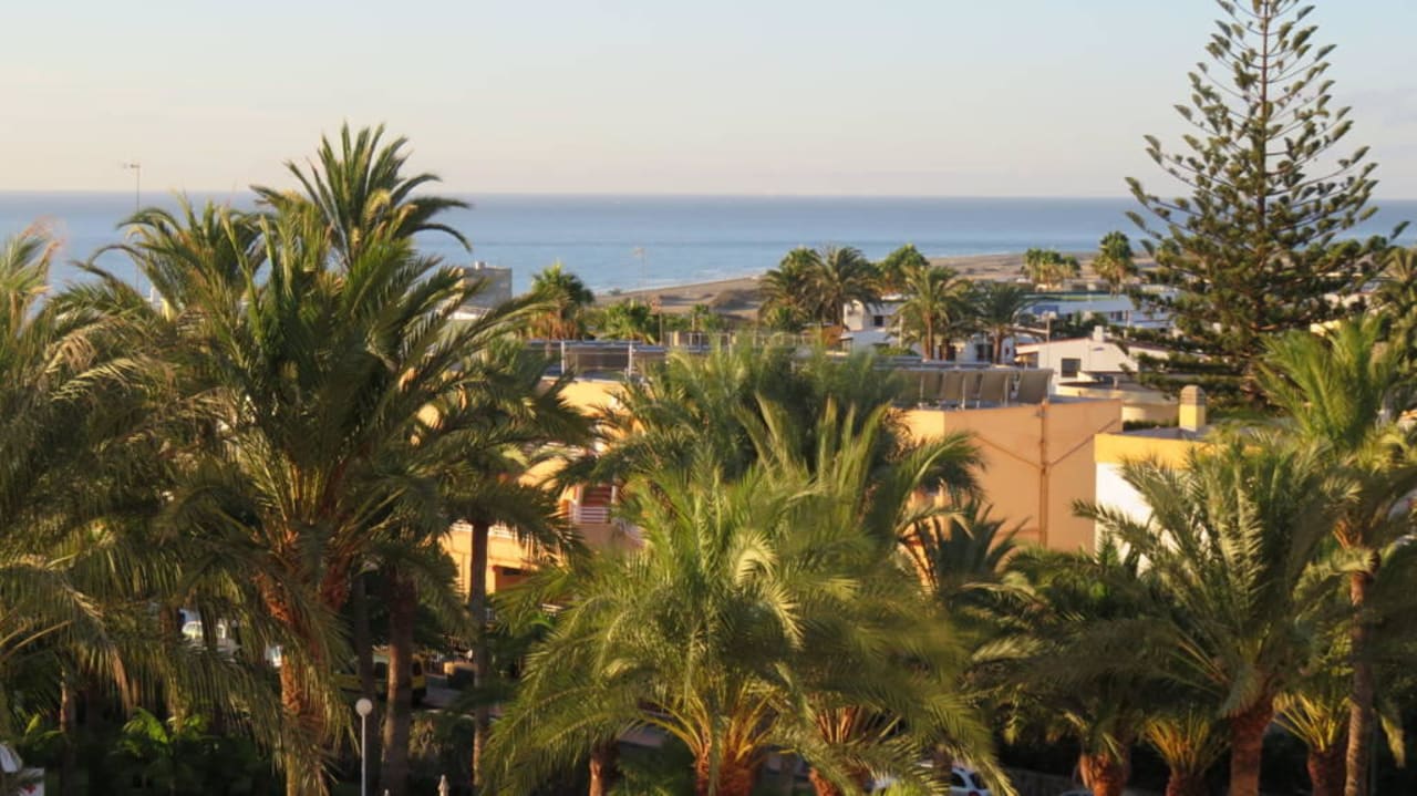 Blick über den Garten zum Meer Hotel Riu Palace Palmeras