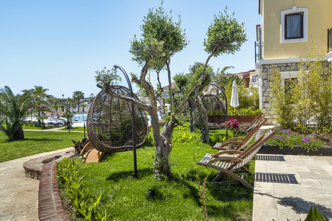 Gartenanlage Cocos The Club Solto