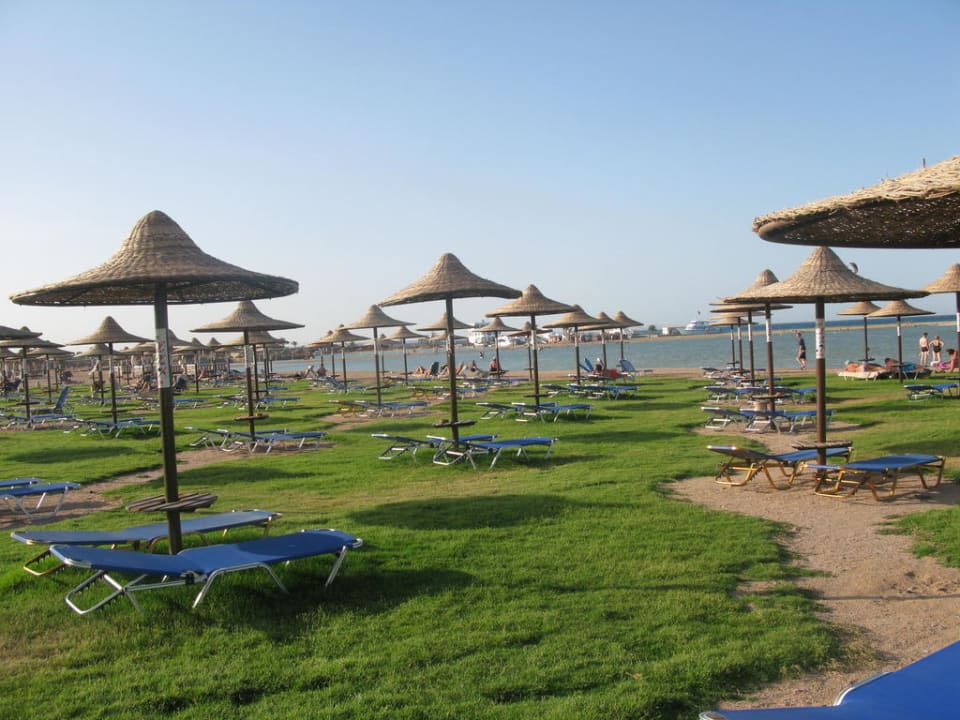 Plaża na trawie JAZ Aquamarine Resort