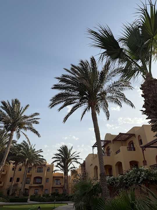 Außenansicht Steigenberger Coraya Beach - Adults only