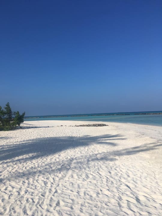 Strand Summer Island Maldives