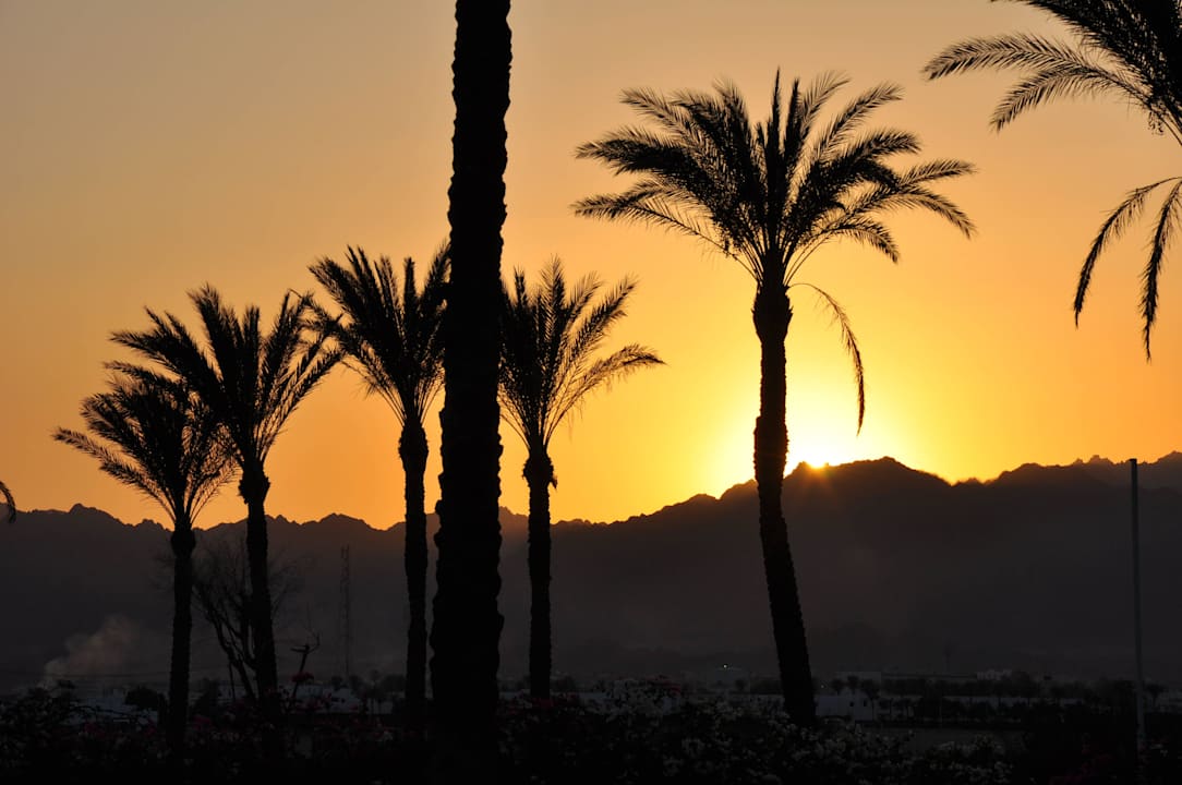 Sonnenuntergang vorm Hotel The Grand Hotel Sharm El Sheikh