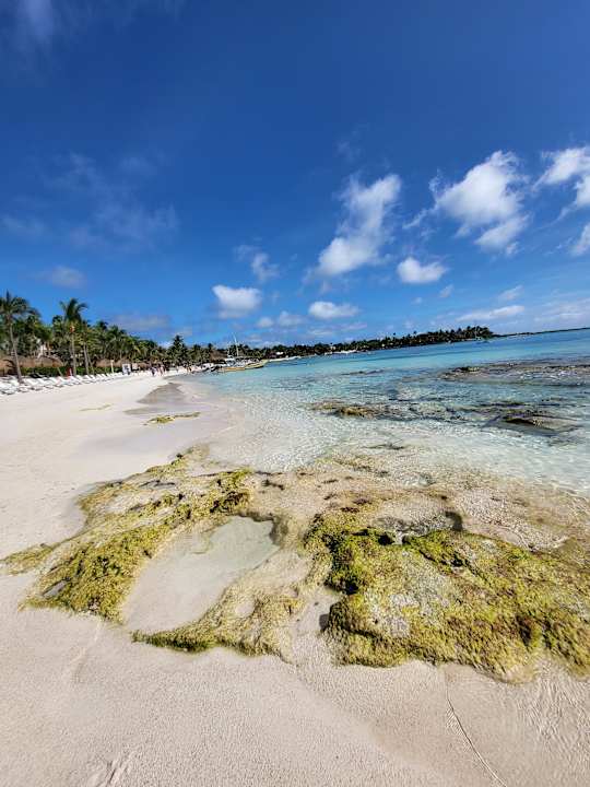 Strand Secrets Akumal Riviera Maya - Adults only