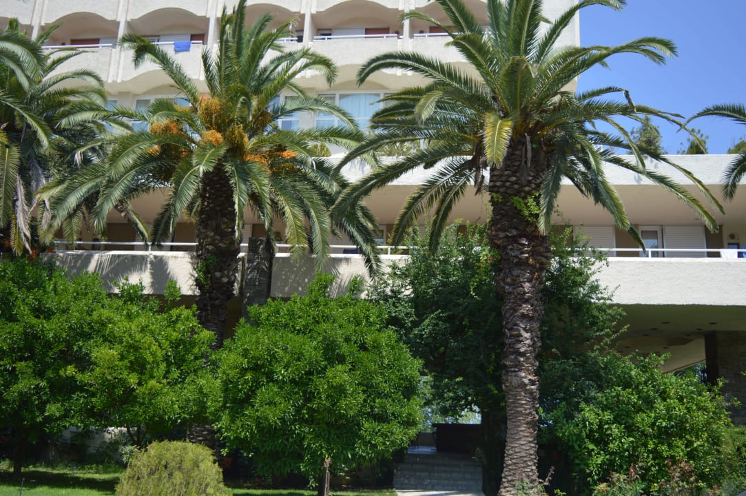 Hotel Hotel Athos Palace