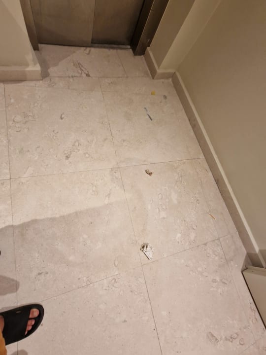 Zimmer Domes Aulūs Zante, Autograph Collection