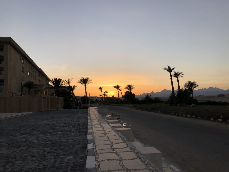 Sonstiges Shams Prestige Abu Soma-Adults Only