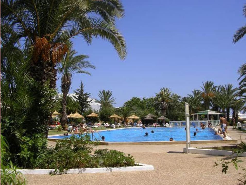 Pool  TUI BLUE Palm Beach Hammamet