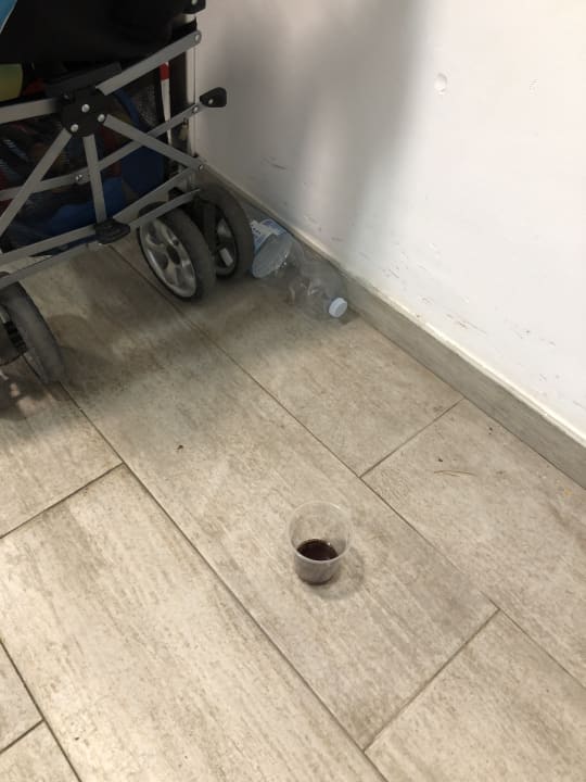 Zimmer Alcudia Garden Aparthotel