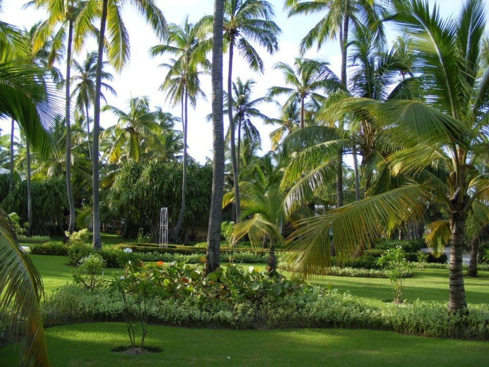 Garten Grand Palladium Select Bávaro Resort & Spa