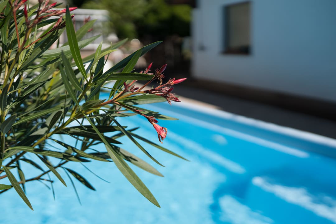 Pool Apart Fortuna