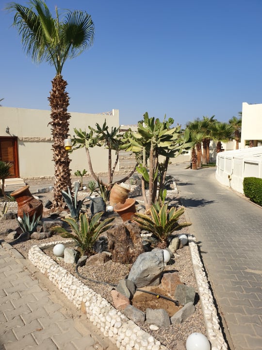 Gartenanlage Coral Beach Hurghada
