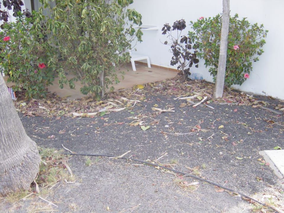 Gartenanlage allsun App.-Hotel Albatros