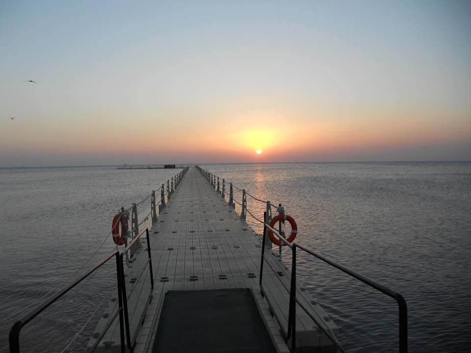 Sonnenaufgang Pickalbatros Palace Resort