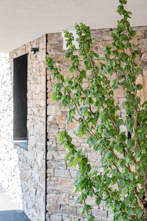 Außenansicht Falkners Five