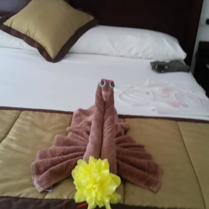 Zimmer Hotel Riu Lupita