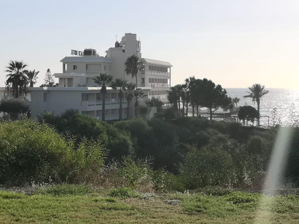 Außenansicht Hotel Cynthiana Beach