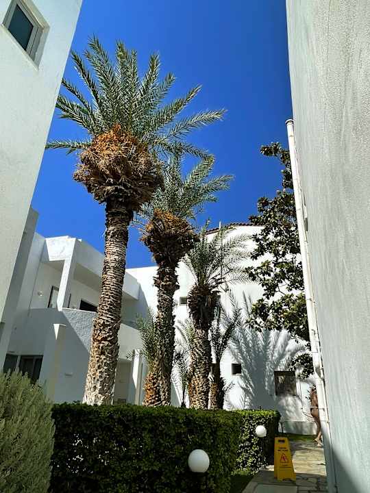 Gartenanlage Maritimo Beach Hotel