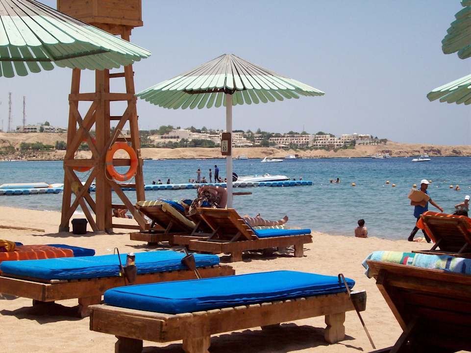 Gemütliche Liegen Ghazala Gardens